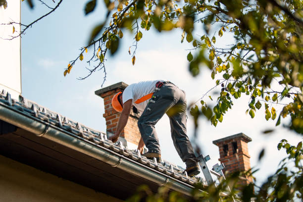 Best Roof Leak Repair  in Delphos, OH