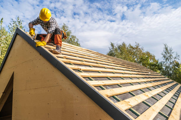Best Metal Roofing Contractor  in Delphos, OH