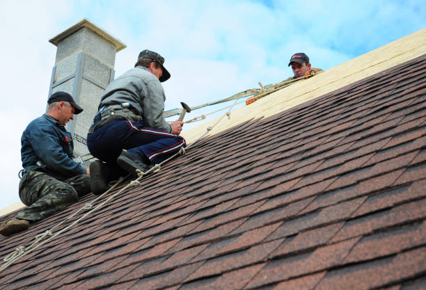 Best Gutter Installation and Roofing  in Delphos, OH
